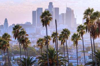 City skyline with palm trees