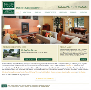 A view of real estate agent Tamara Goldman's website, showing a living room with yellow walls 