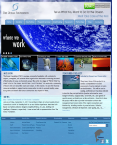 ocean foundation homepage