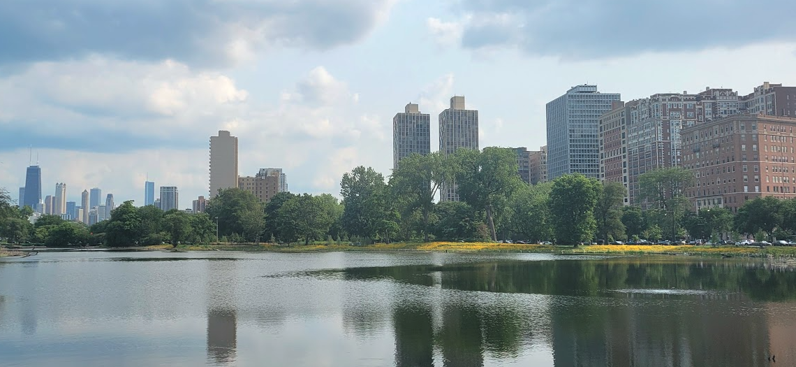 Chicago skyline and lake in lincoln park