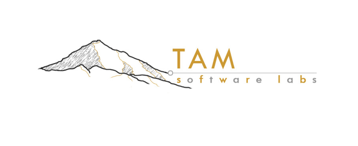 Image for post about Mobile Applications with Tam Software Labs