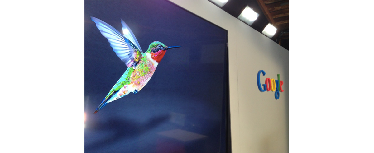 Image for post about Google's Recent Changes - Hummingbird & Encryption