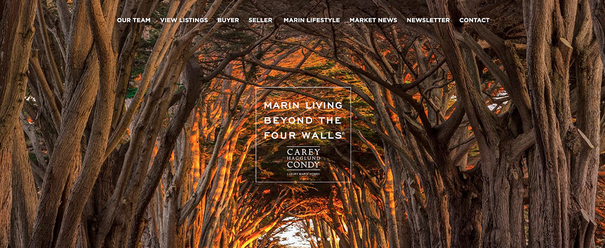 Image for post about Carey Hagglund Website Launch
