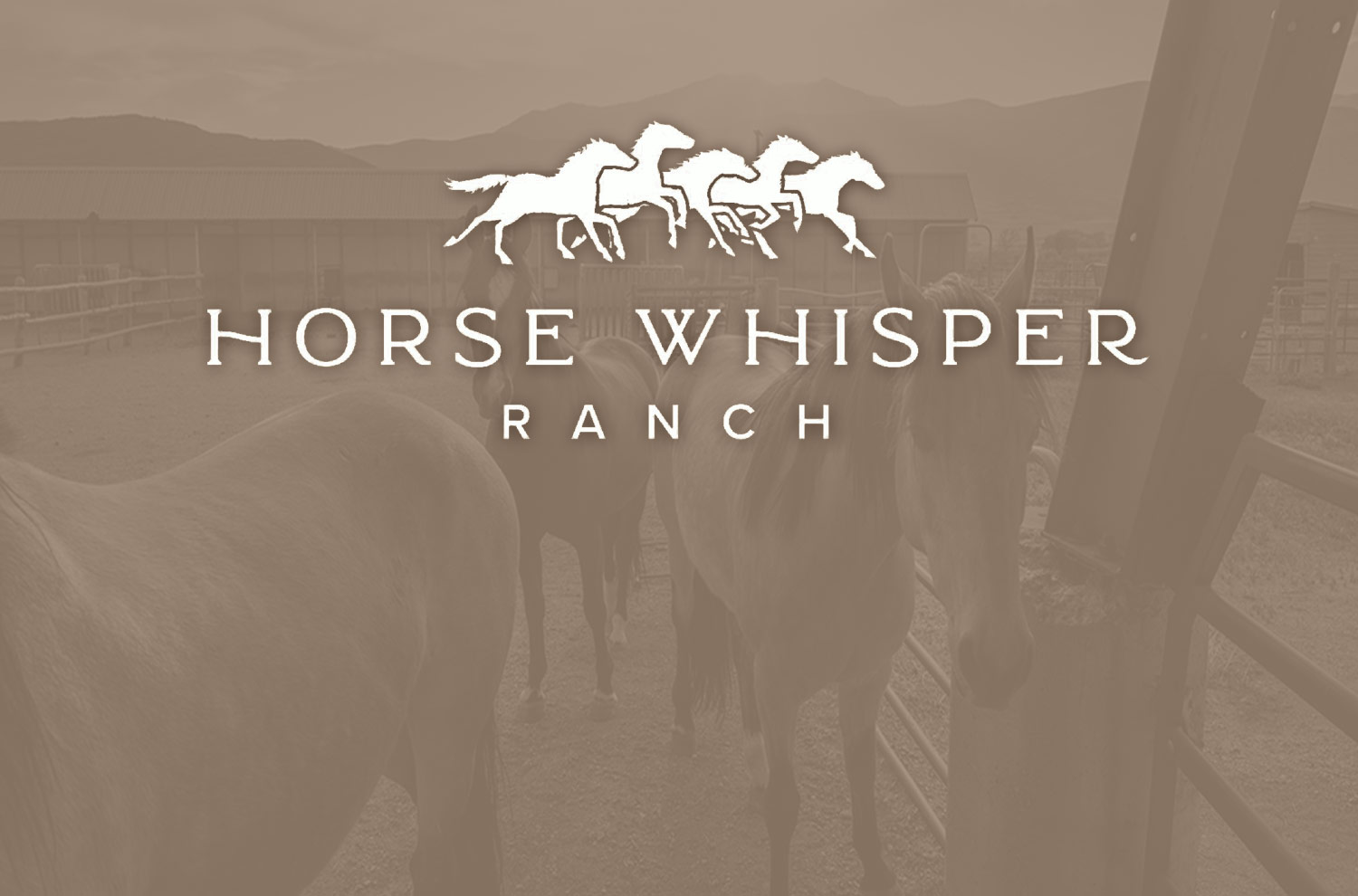 Horse Whisperer Ranch