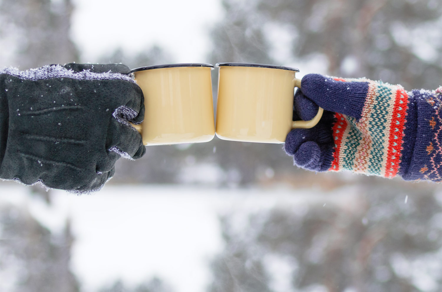 Image of Hot cocoa toast to a successful year